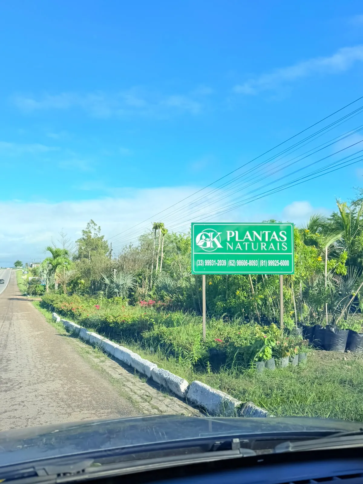 Viveiro GK Plantas Naturais em Sairé-PE